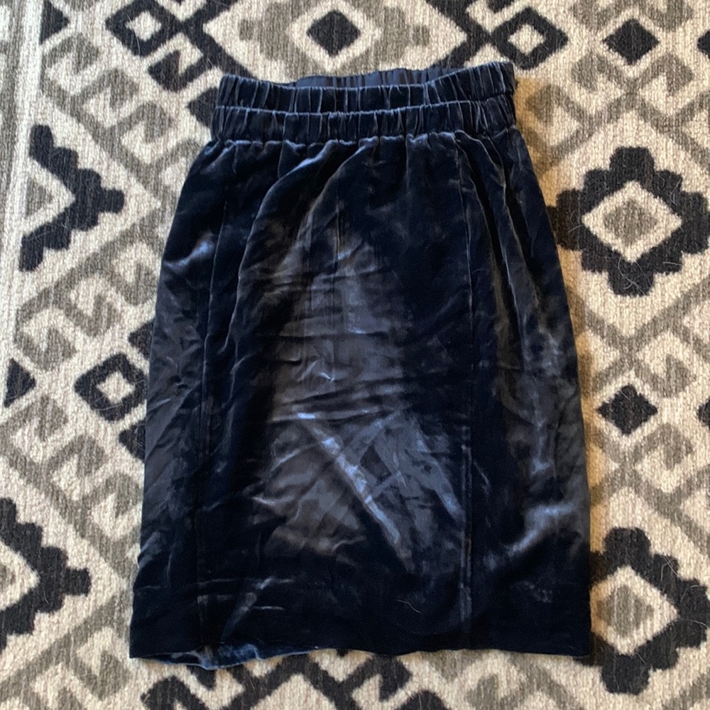 Velvet jcrew skirt